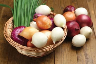 Alliums image