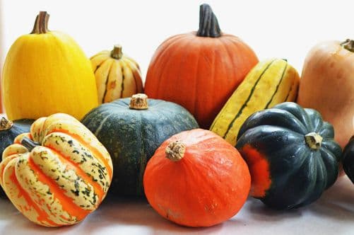 Squash image